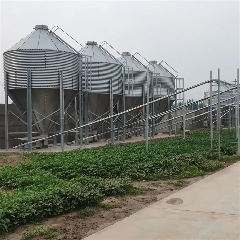 滁州市干料输送线