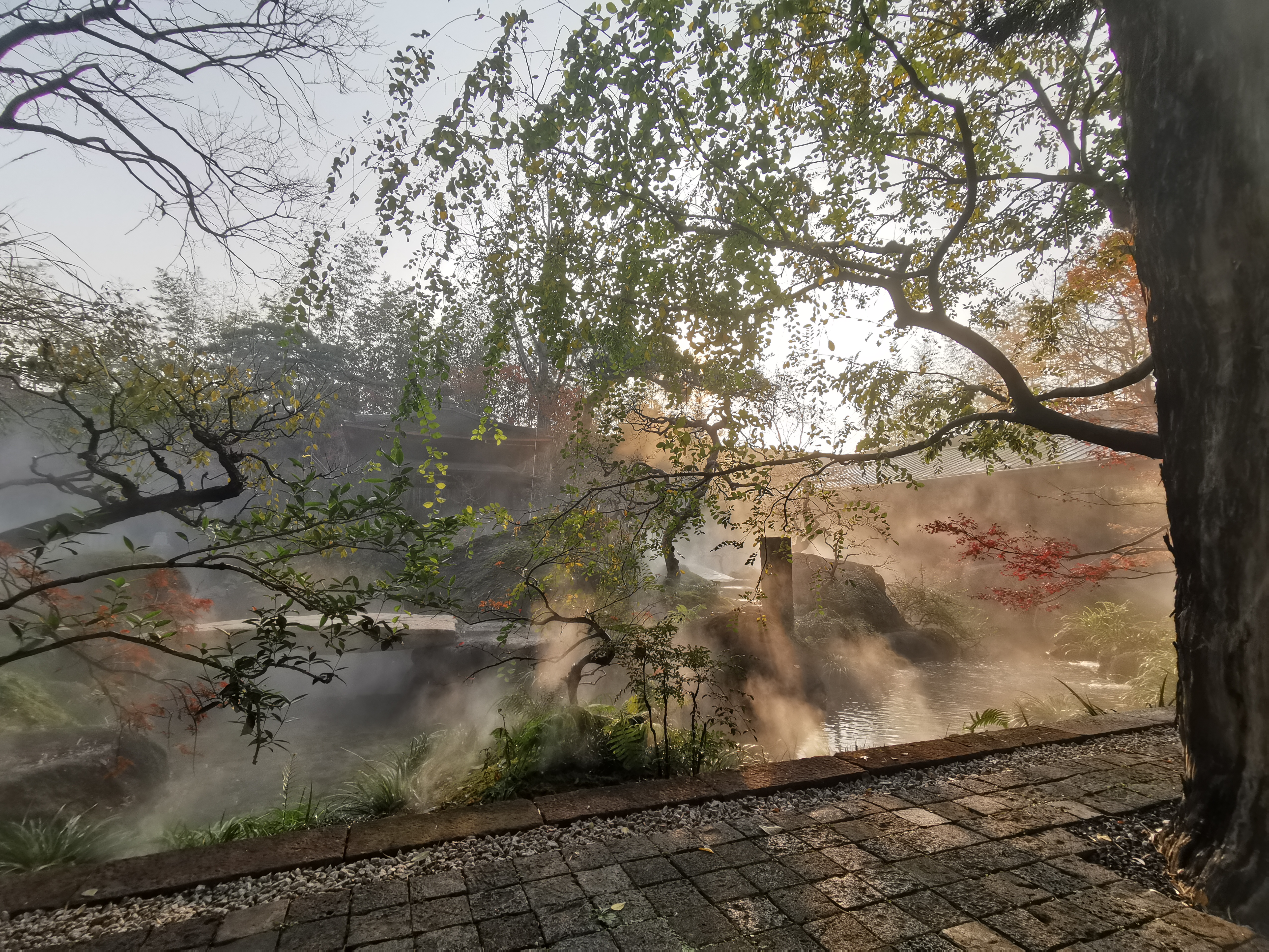 黔西南市冷雾造景
